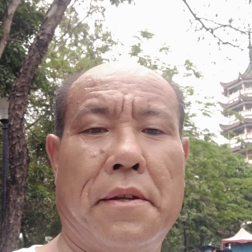 阳光爱恋风萧的照片
