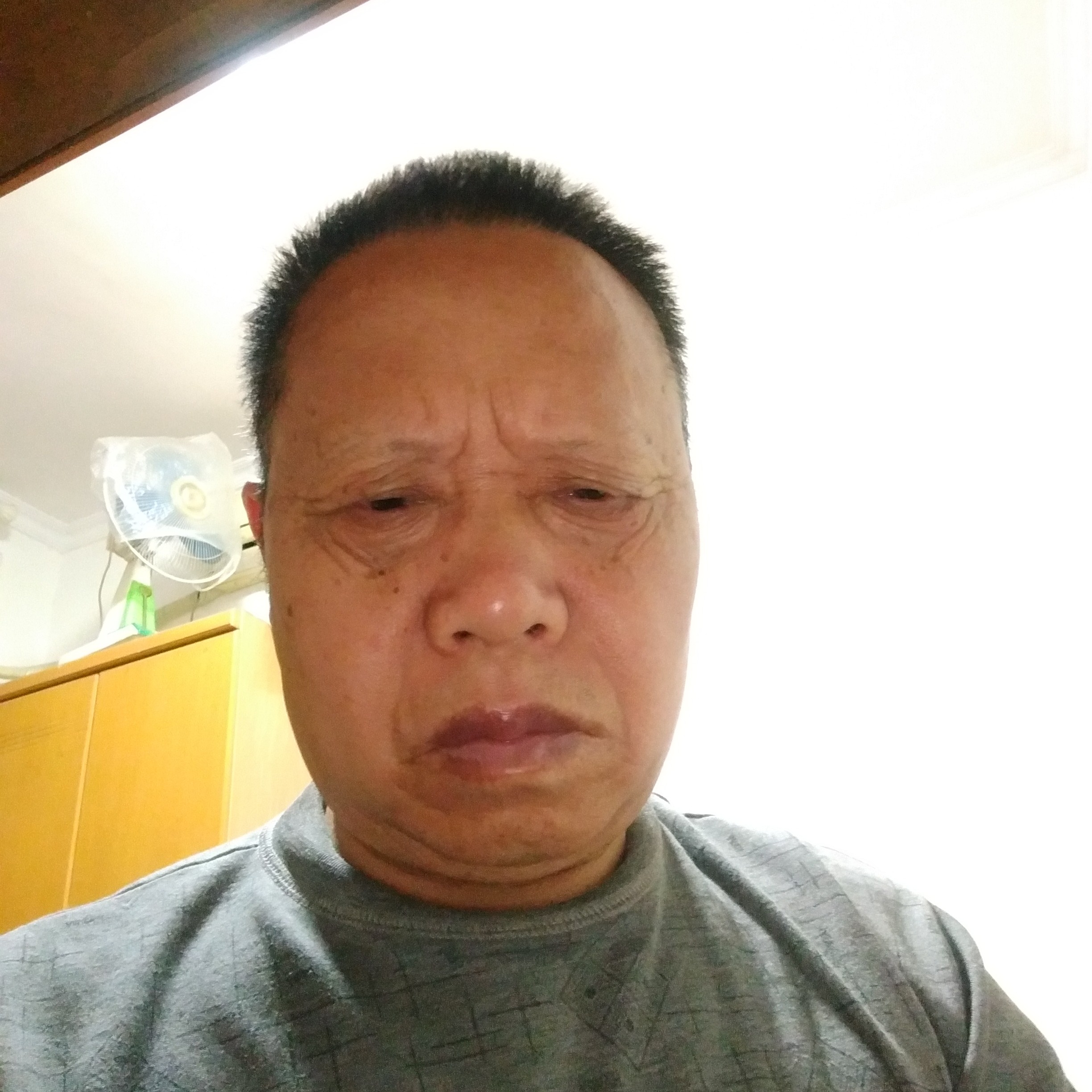 金鱼凝眸危机的照片