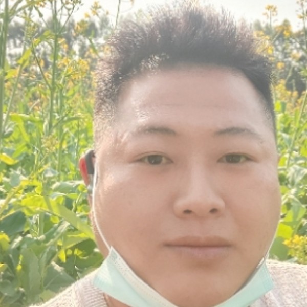 城主不让我进城的照片