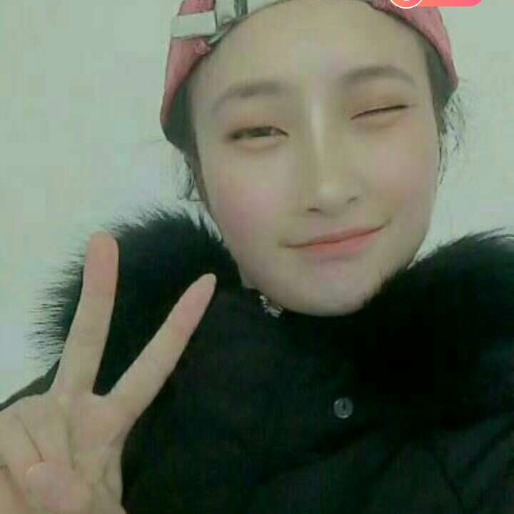 彩色相许小白菜的照片