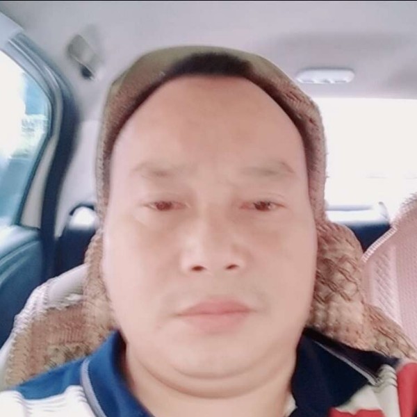 平淡放弃斑马的照片