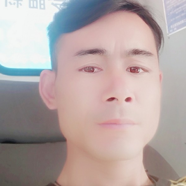开放迎暖阳的照片