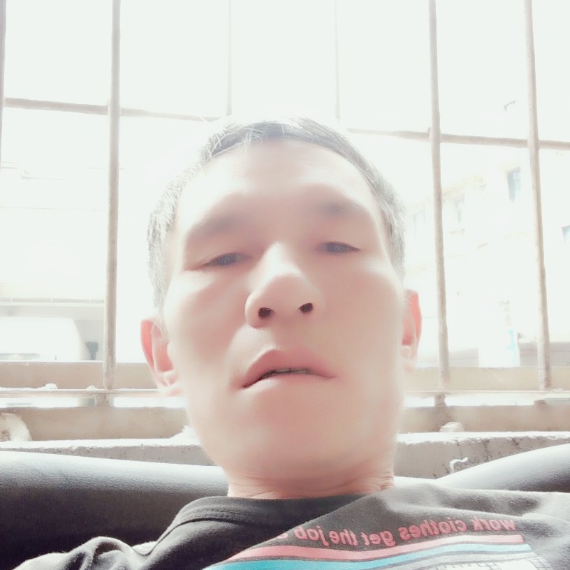 负责和母鸡的照片