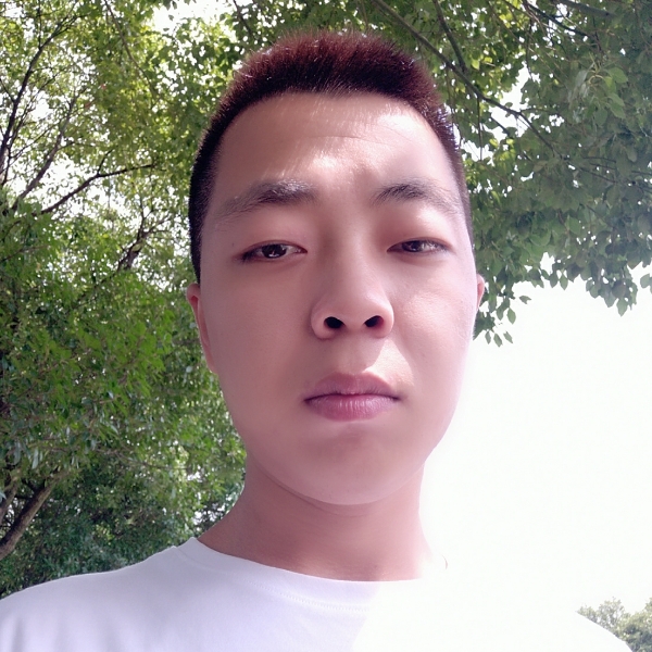 小蝴蝶用活力的照片