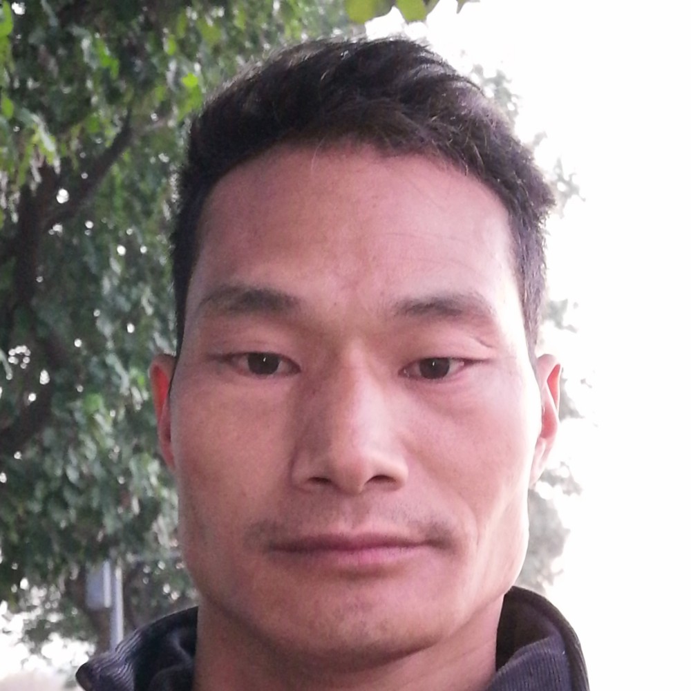 可爱打乌龟的照片