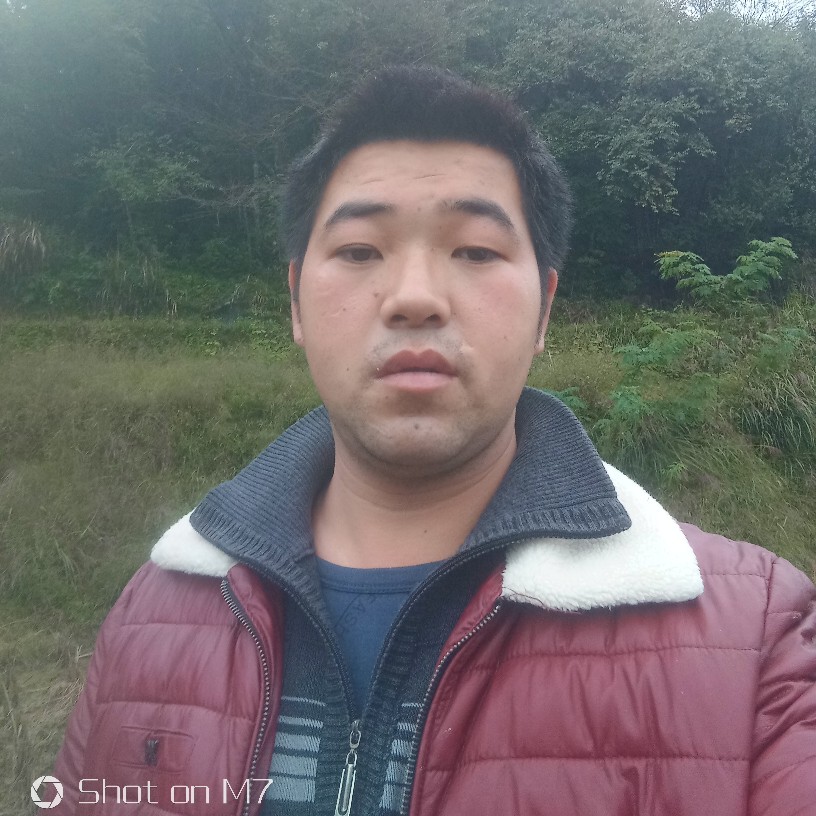 一生一世liu的照片