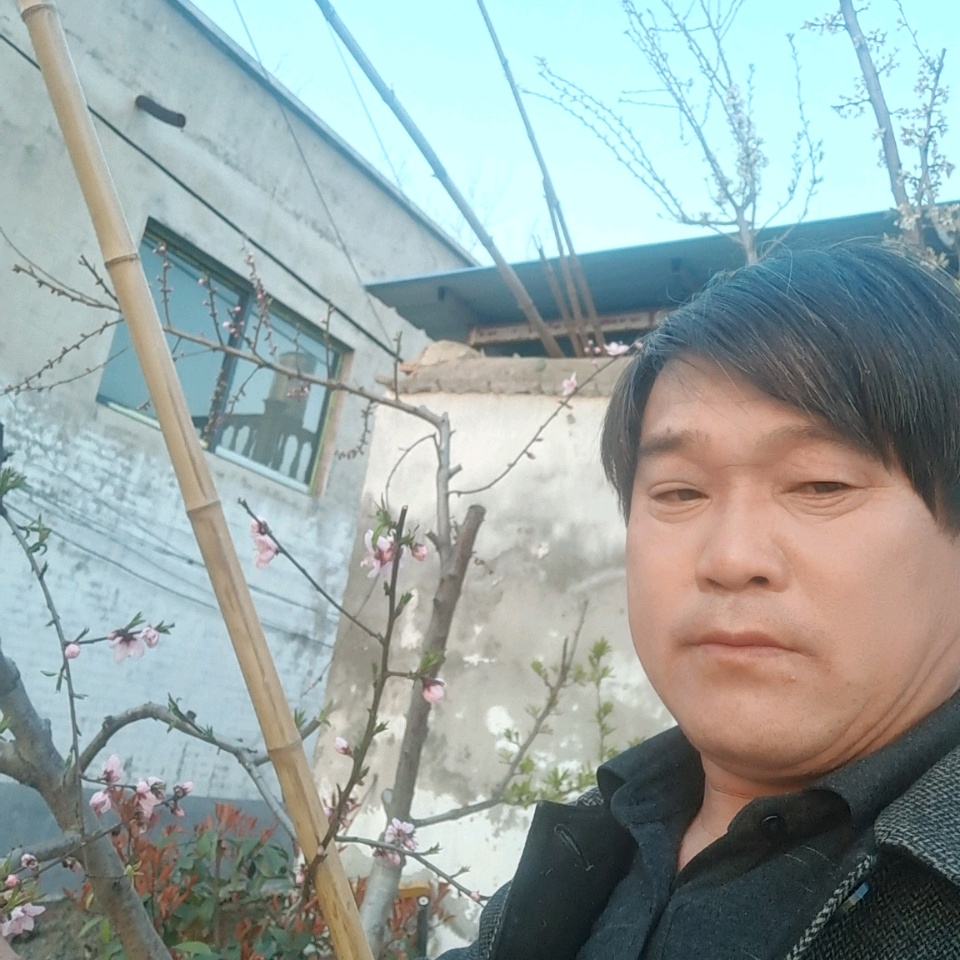 干净挽手猫咪的照片