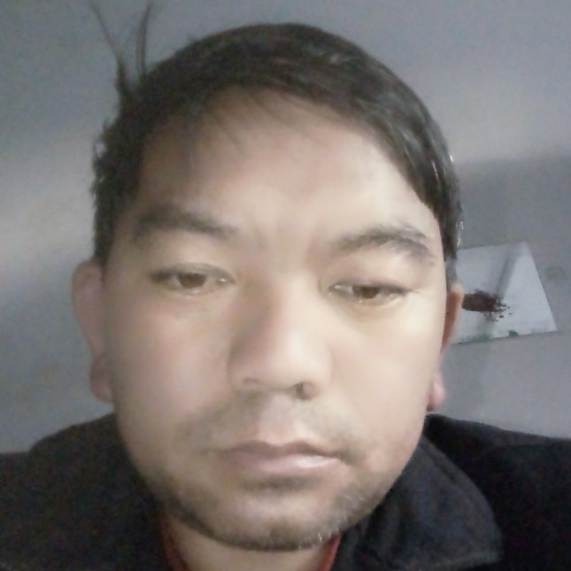 发带优雅的照片