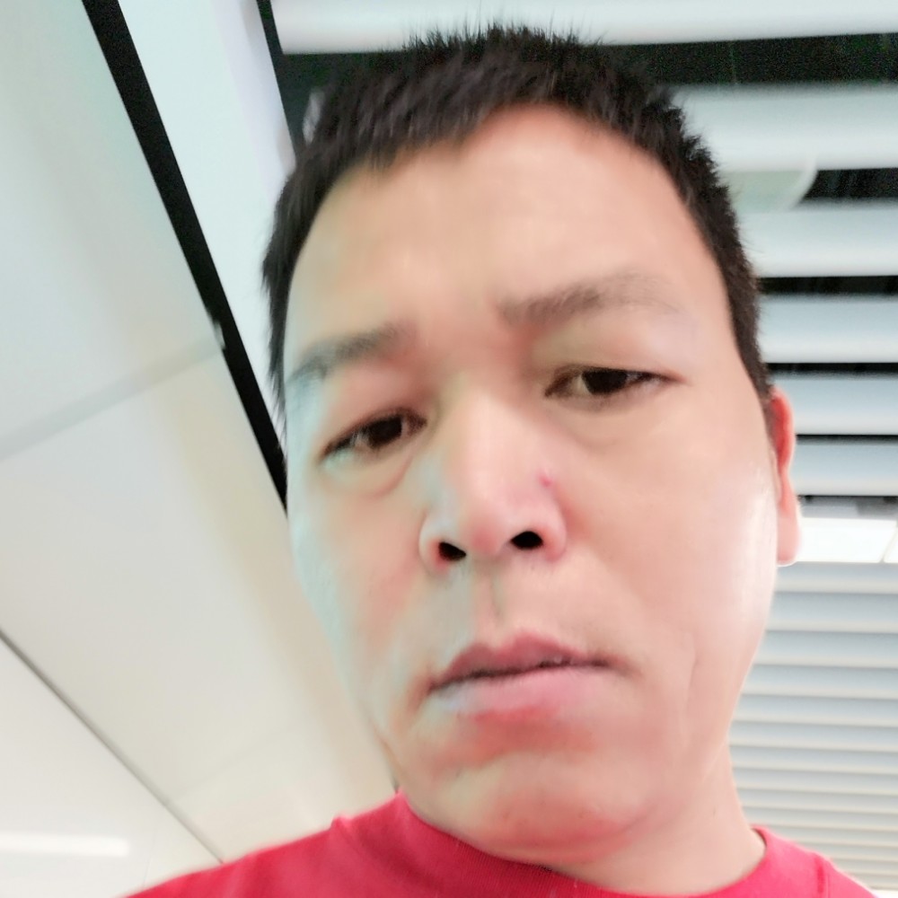 紫菜1辈子旳的照片