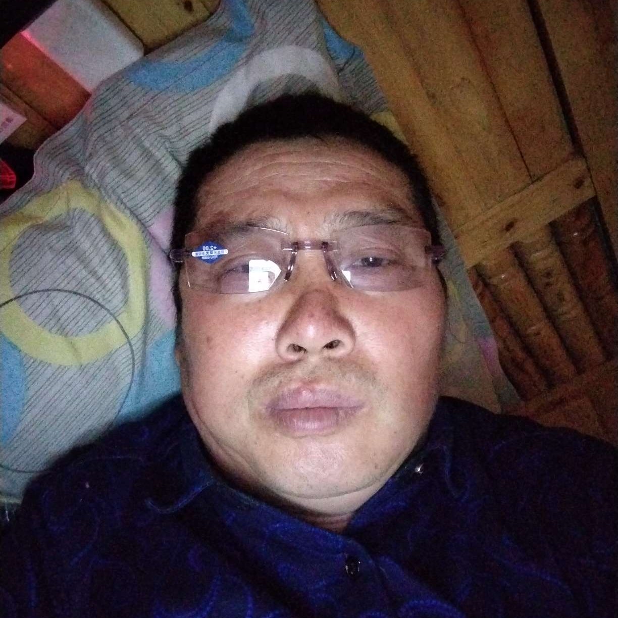 小蝴蝶蹁跹忧虑的照片
