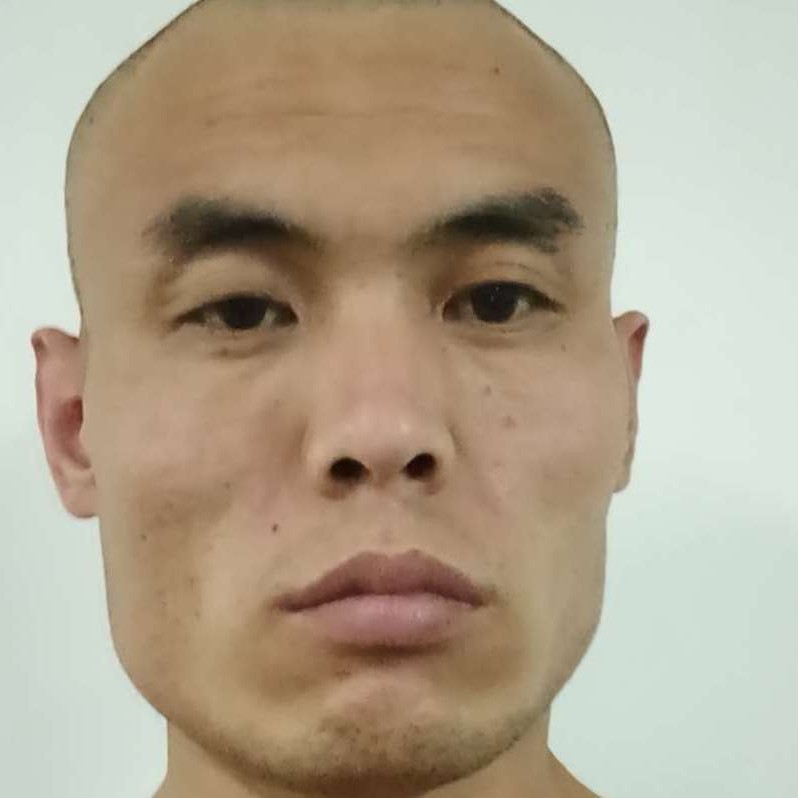 透彻深拥野狼的照片