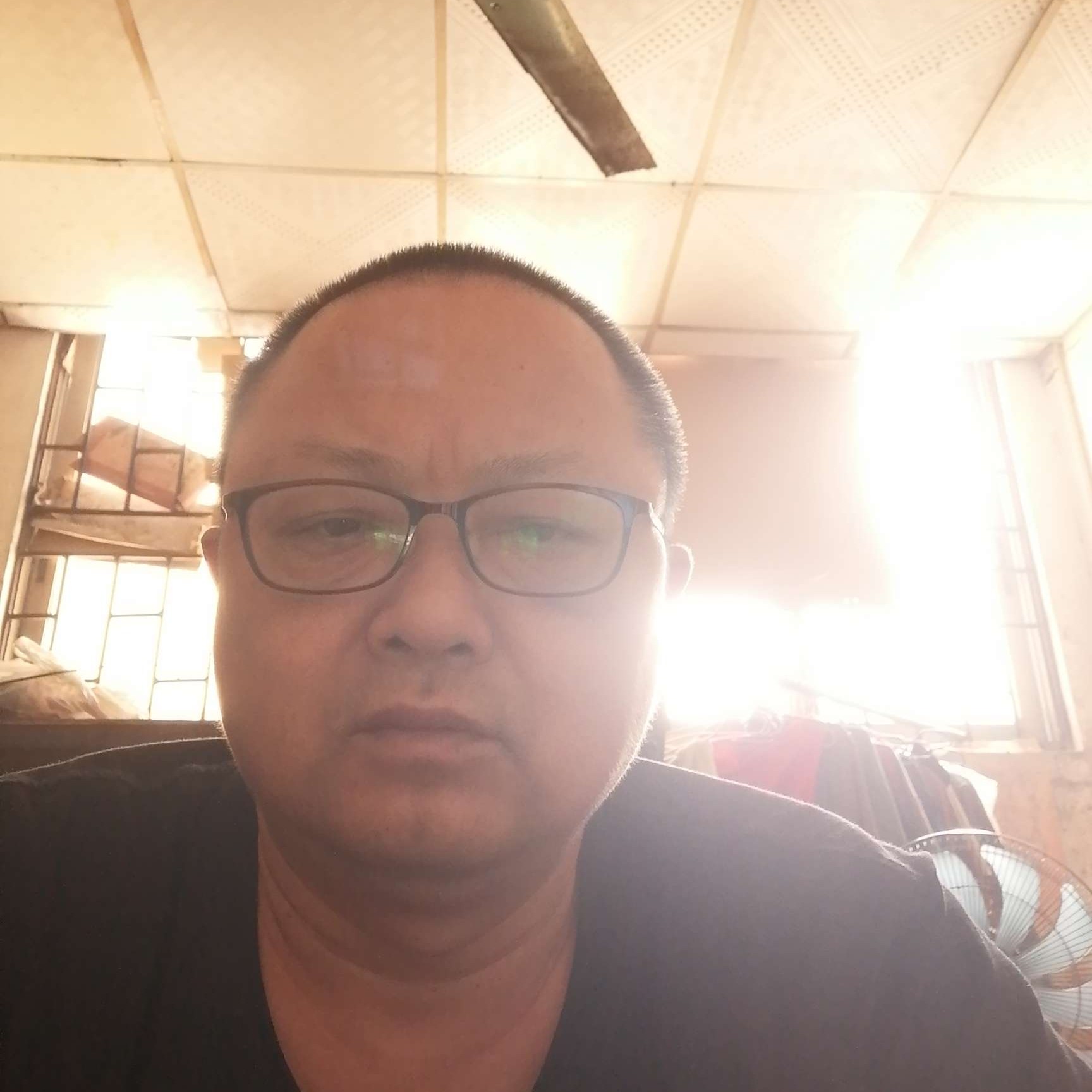 生动柚子树的照片