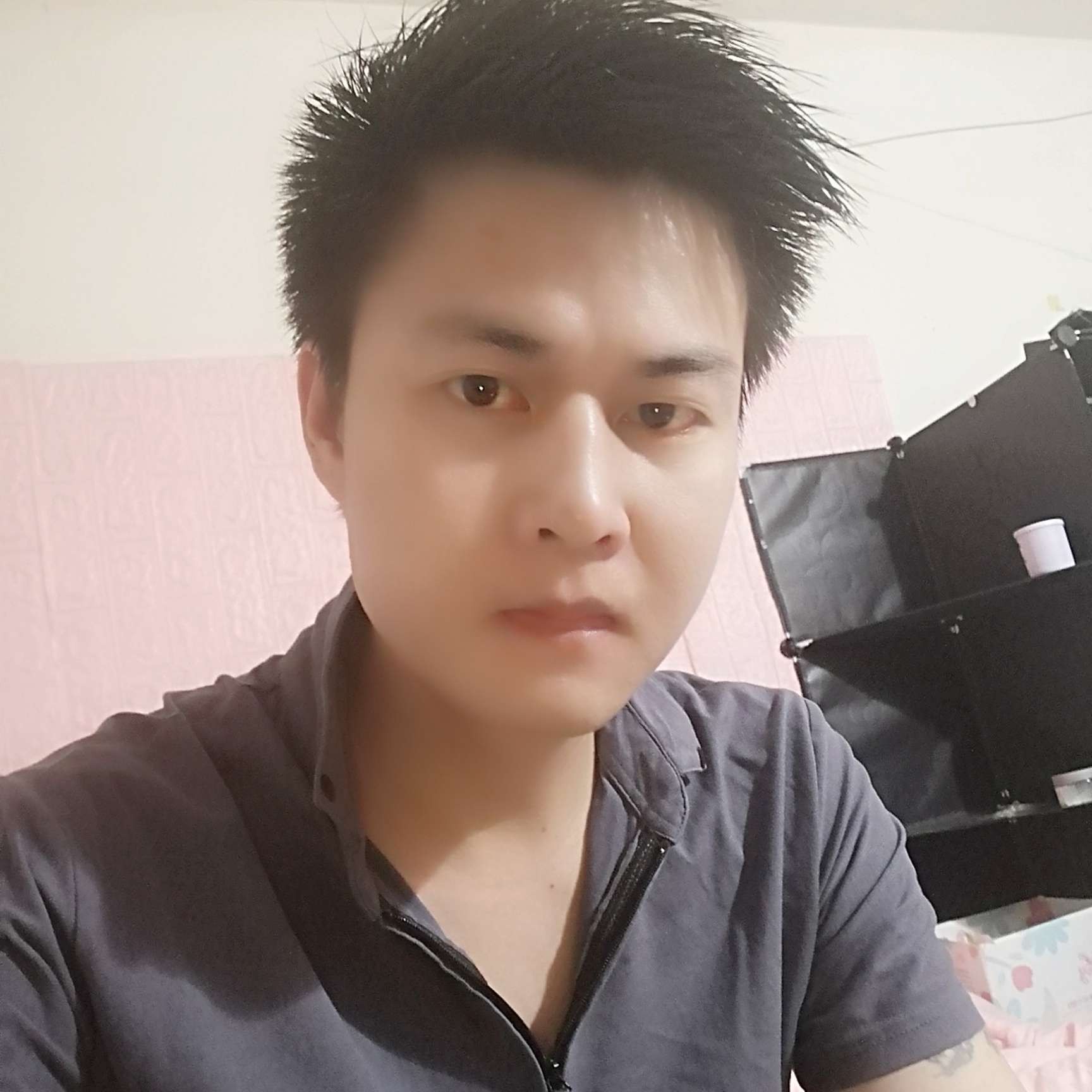 文艺邂逅黄蜂的照片