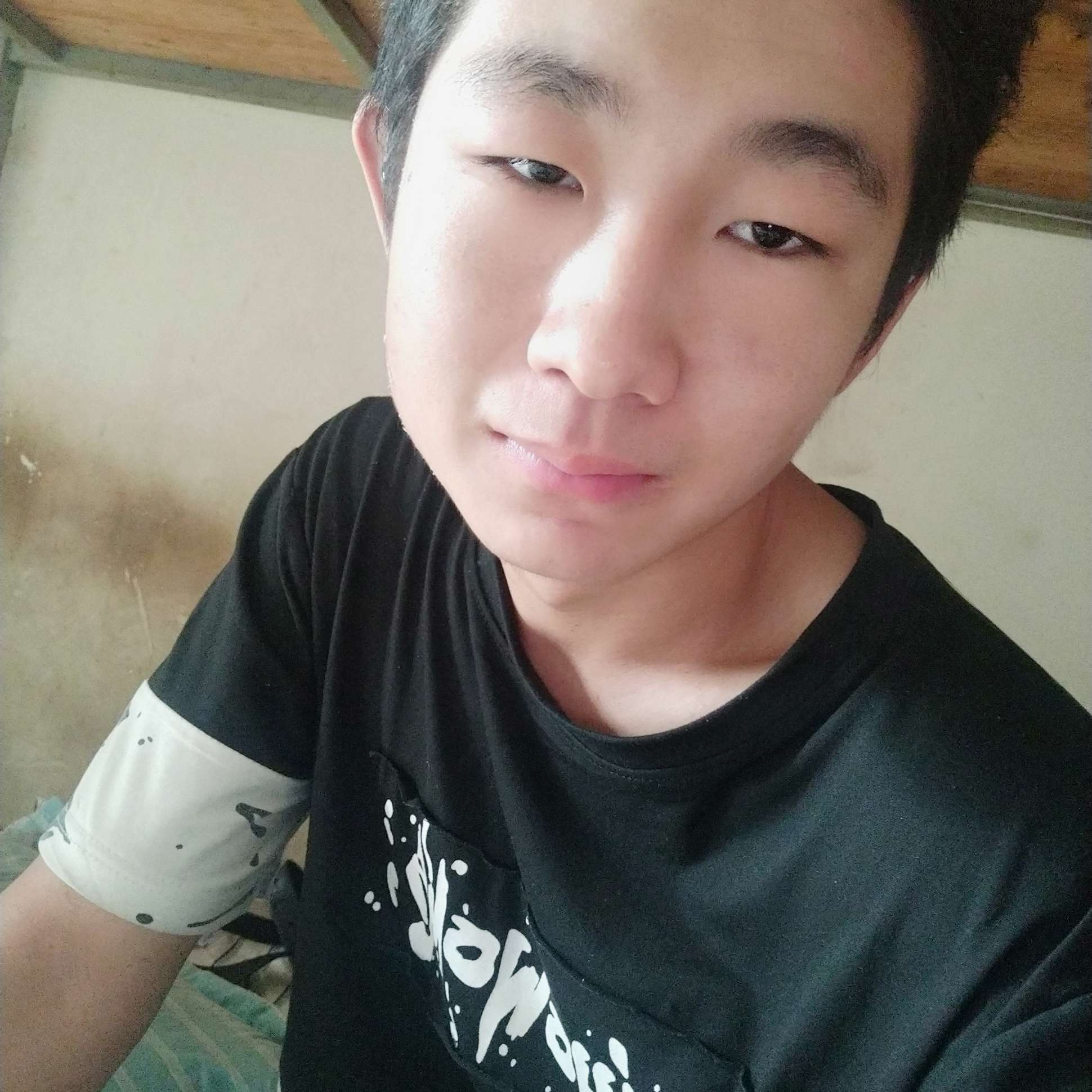 红牛与闪闪的照片