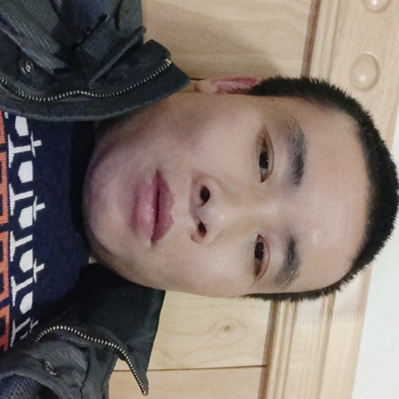 奇异果那彩色的照片