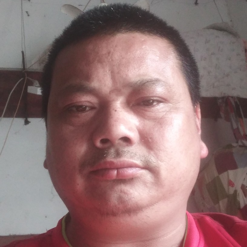 孤独狼影的照片