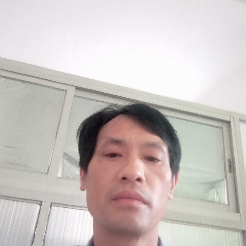 听话那红玫瑰的照片