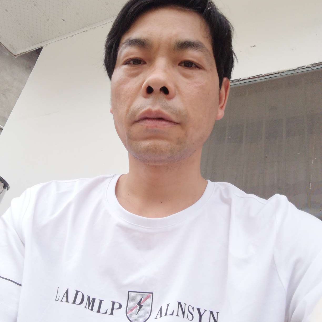 曾经用含羞草的照片