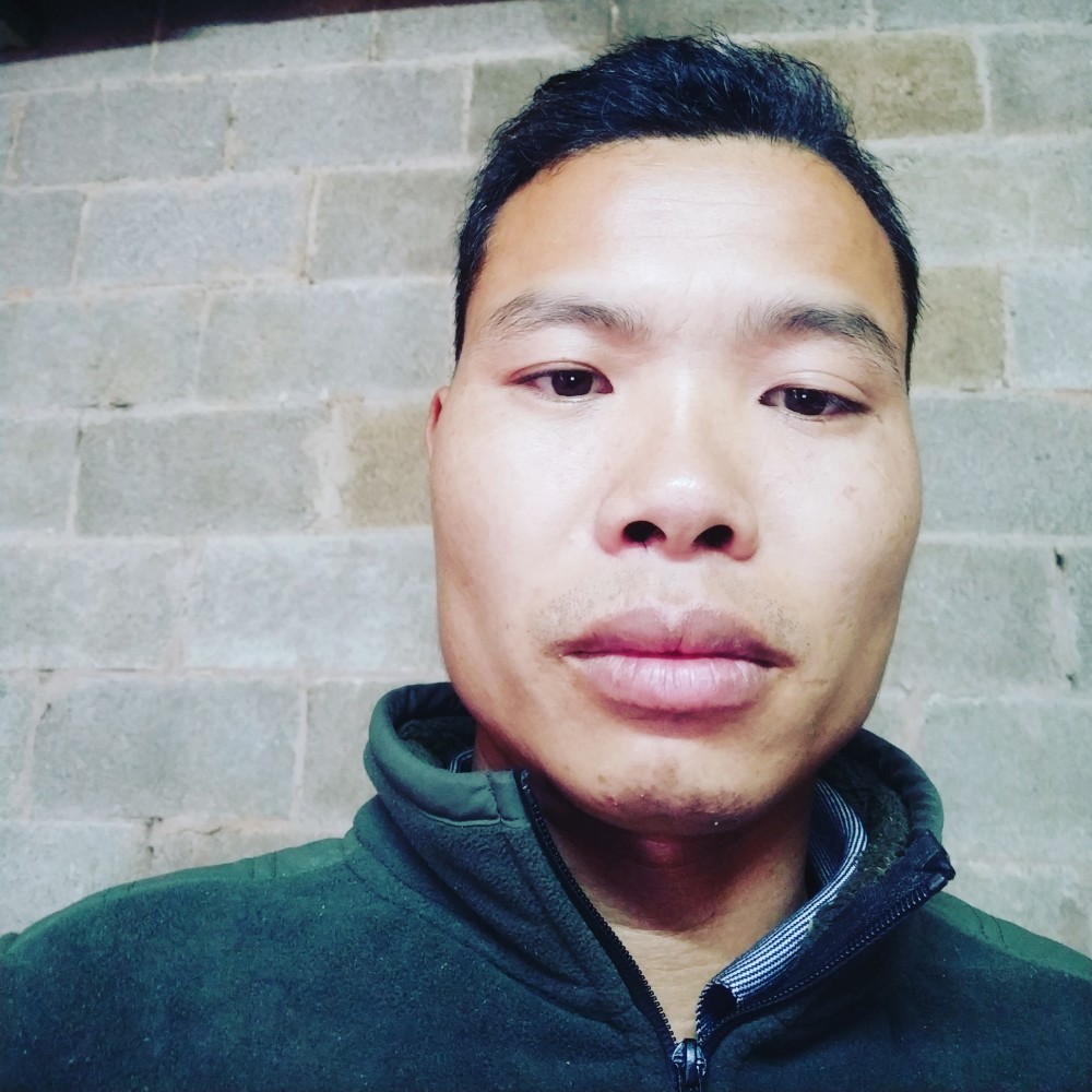 山脚下的黑马的照片