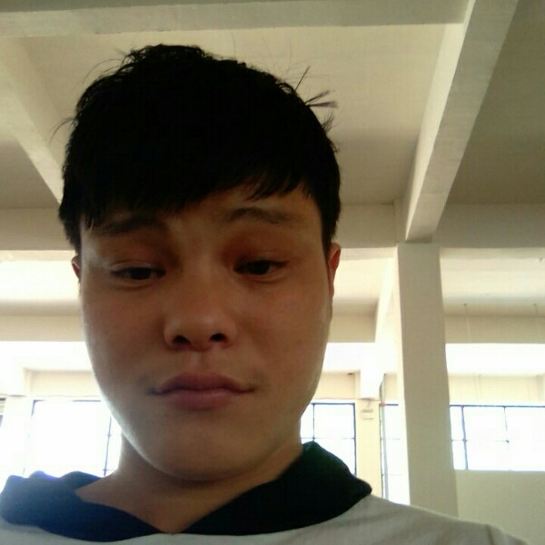 辉煌人生何兵的照片