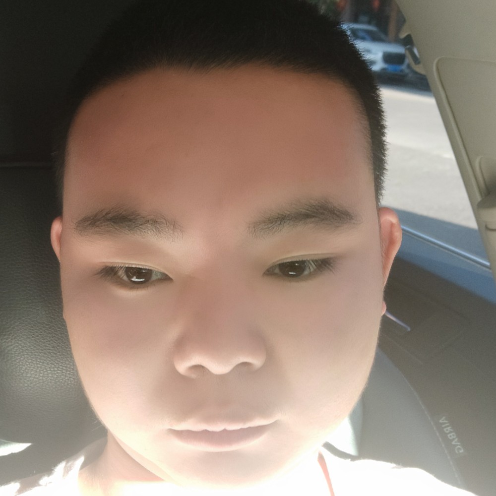 猫咪健康的照片