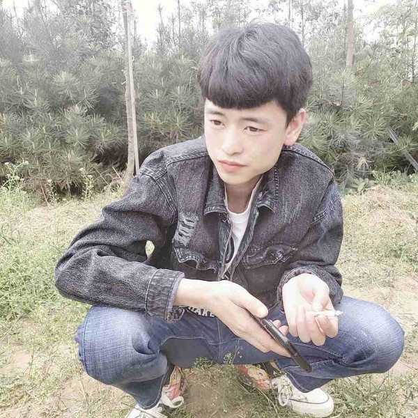 孤心暴躁的照片