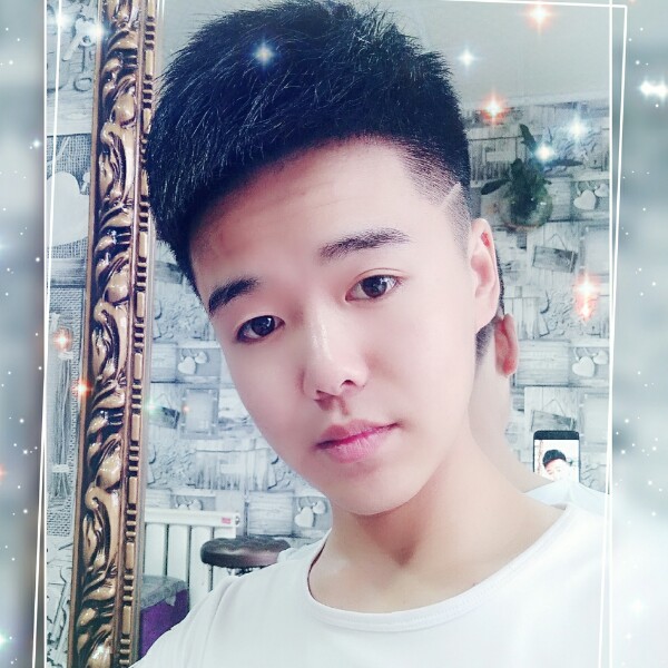 顺利小海豚的照片