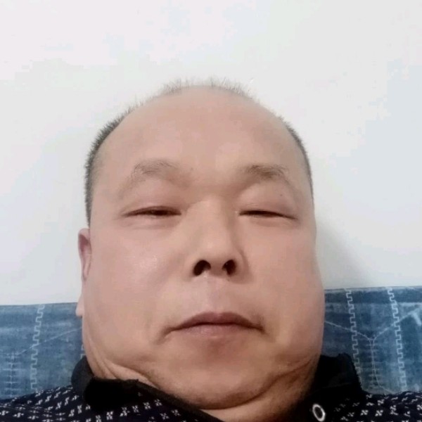 愤怒迎狗的照片