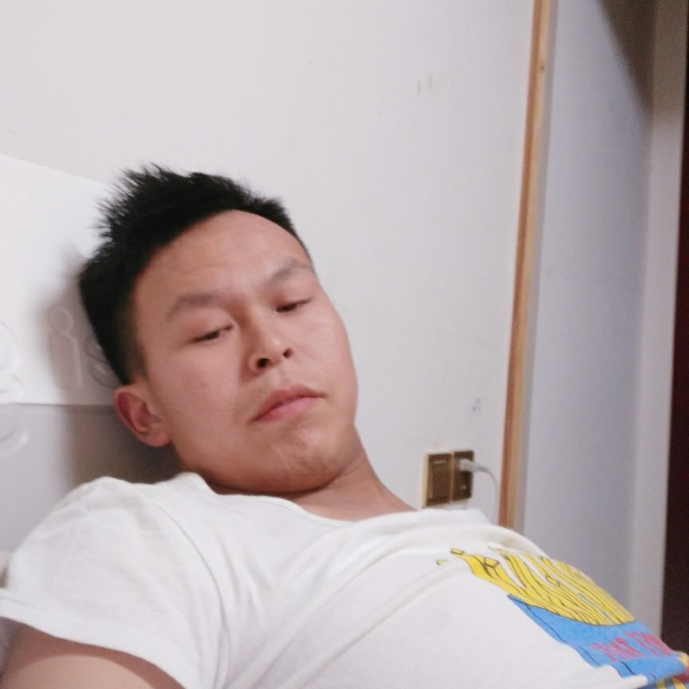 汉堡安详的照片