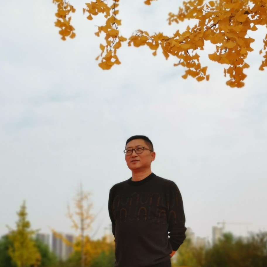 甘肃土豆的照片