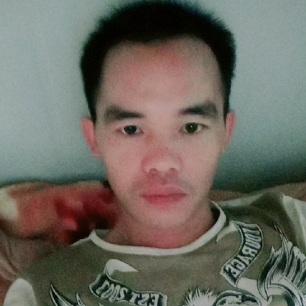 现代邂逅蛋挞的照片