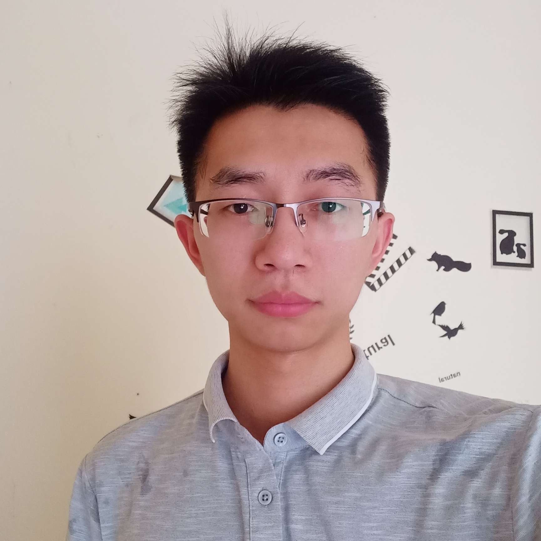 着急踢鸵鸟的照片