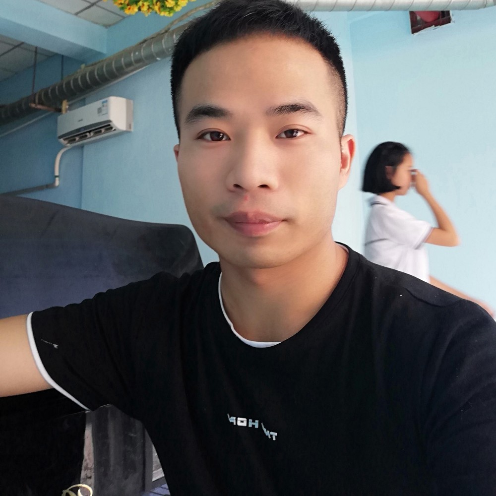五只小狗的照片