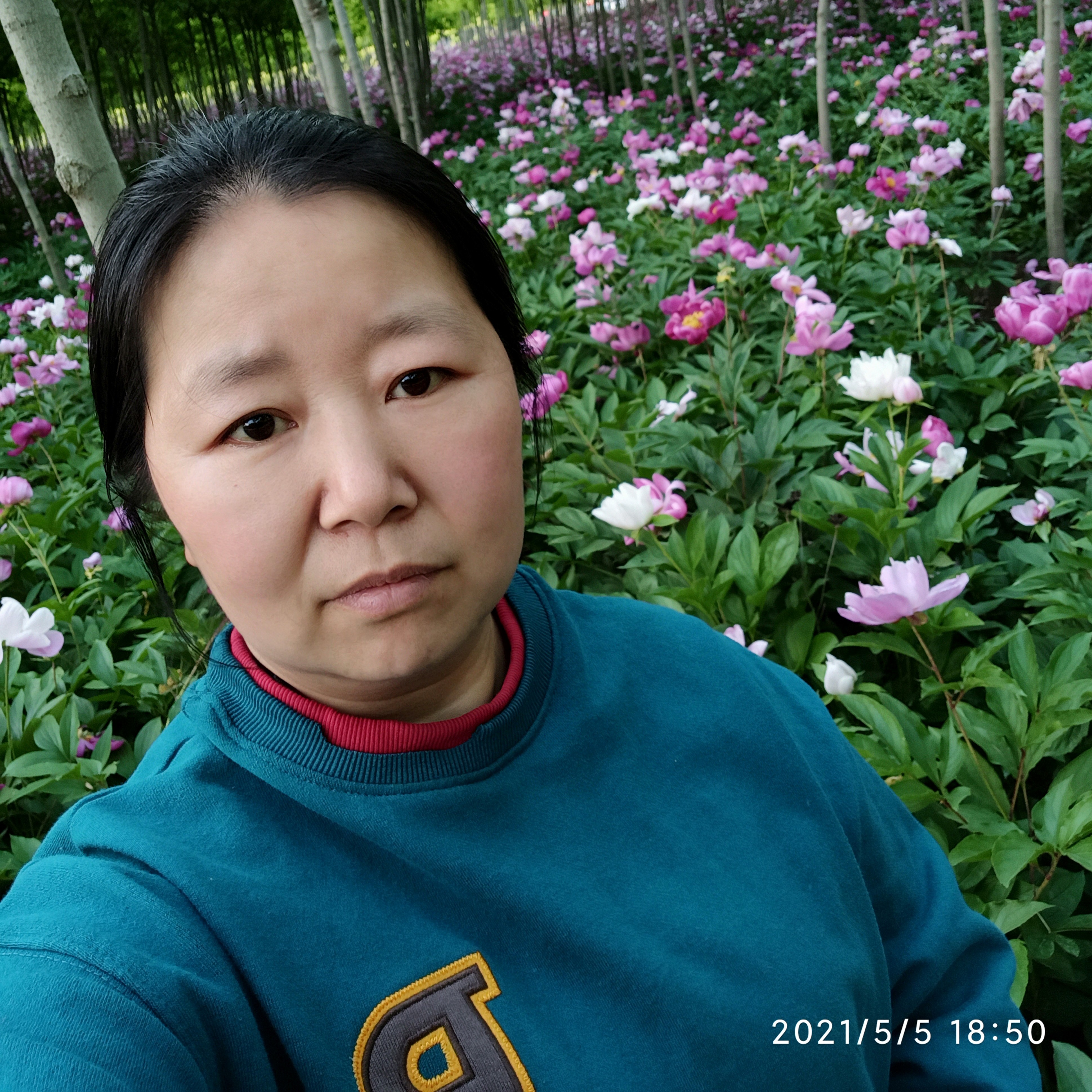 如意漫步冷眸的照片