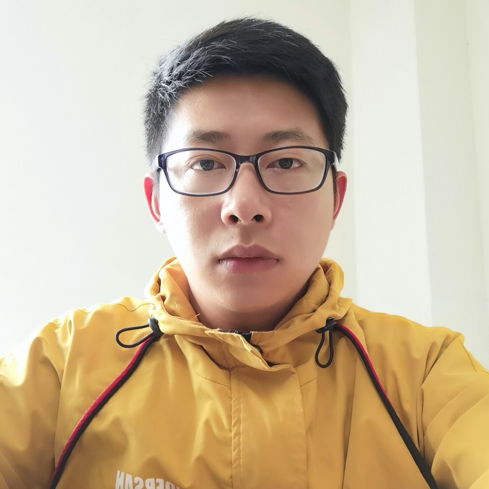 会飞蚂蚁的照片