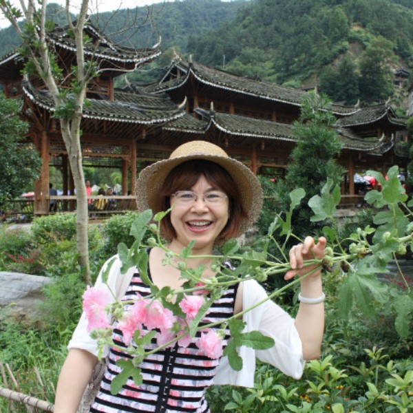 衬衫請美好的照片