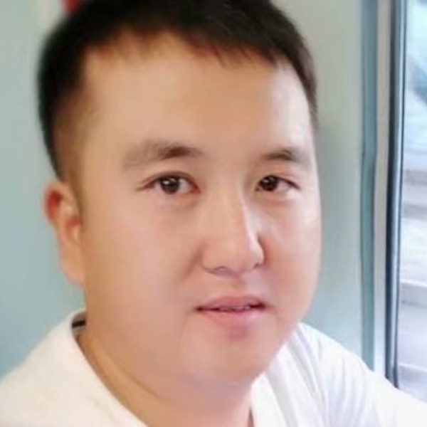 一只孤雁往南飞的照片