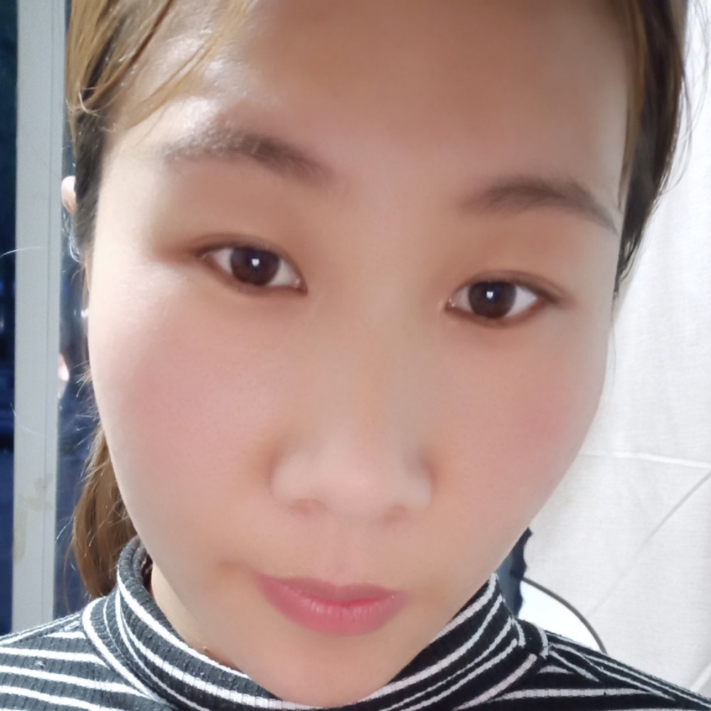 平凡的企鹅的照片