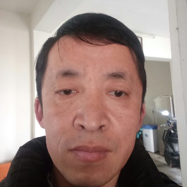 傲娇小兔儿的照片