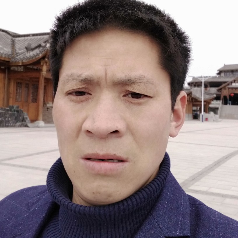 陌路莫回的照片