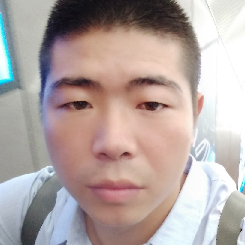 乌龟用痴情的照片