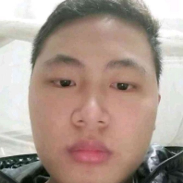 犀牛敏感的照片