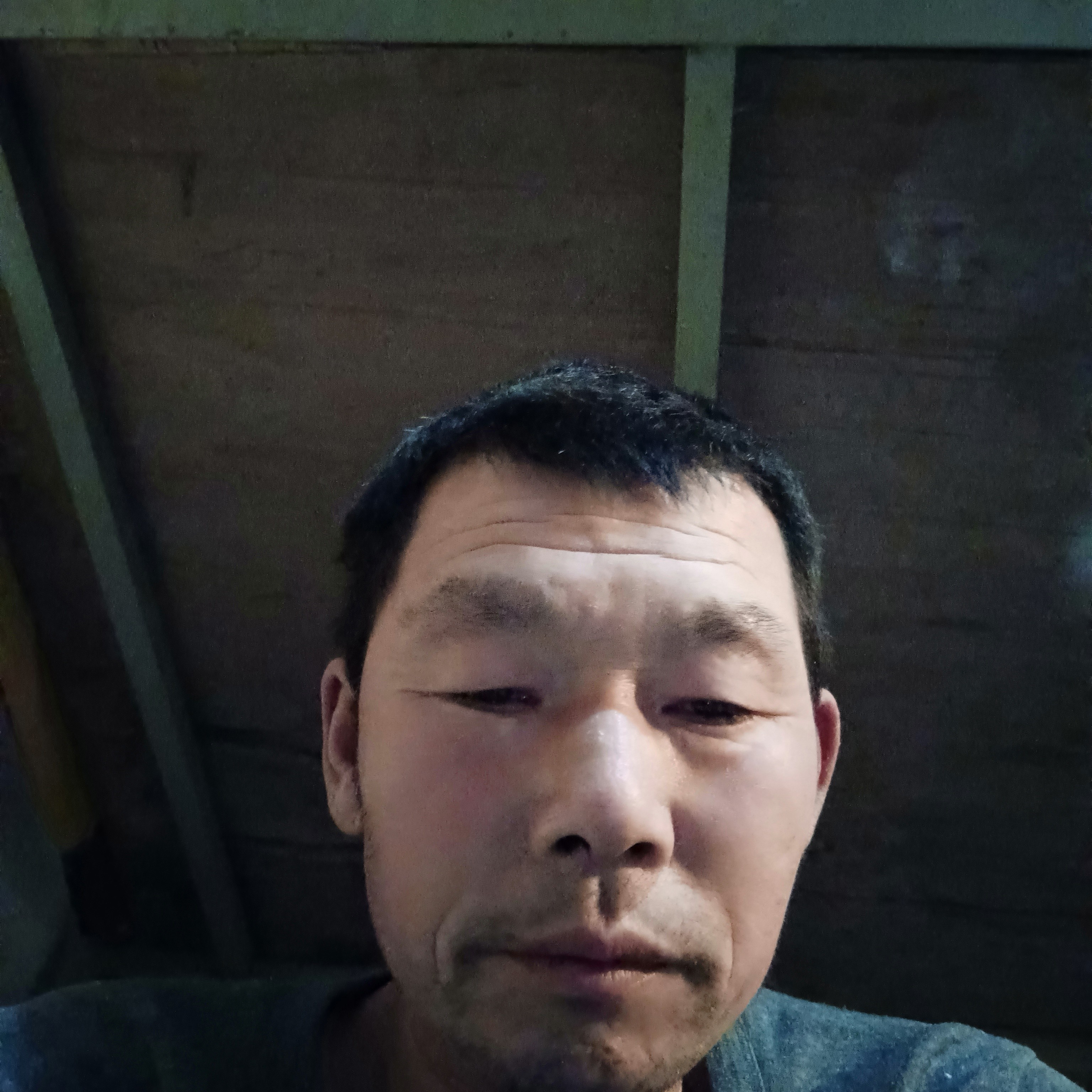花心狼的照片