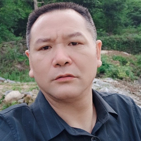 漂泊漂泊的照片