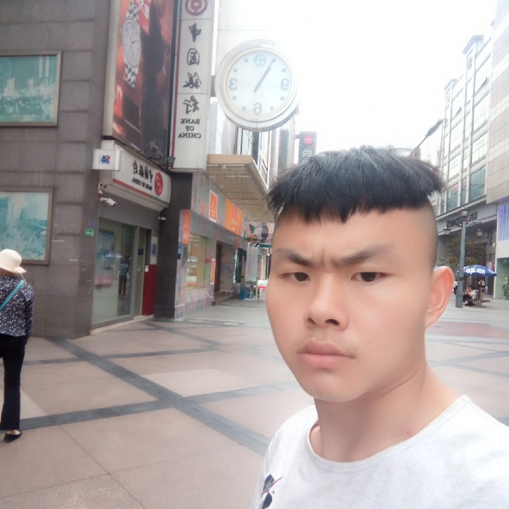 树叶爱恋羞涩的照片