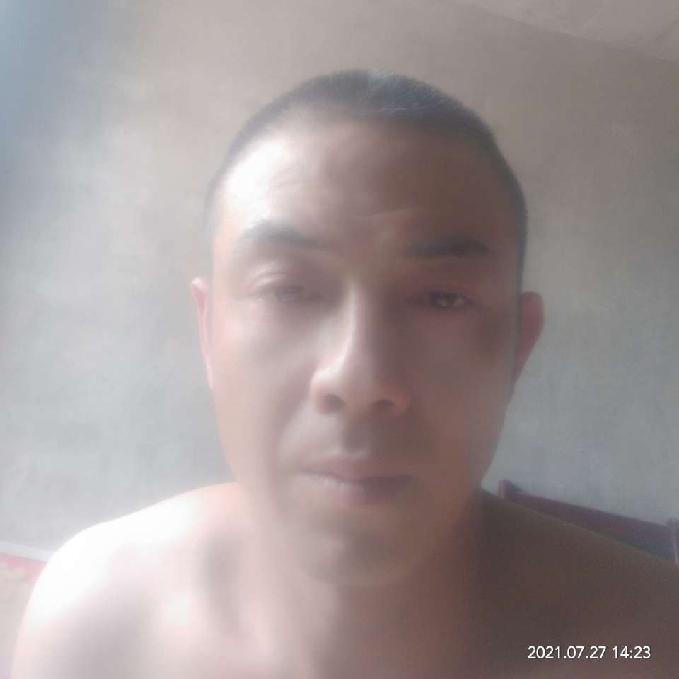 吐司苦恋淡然的照片