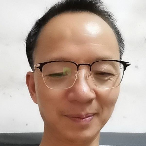 小鸽子小巧的照片