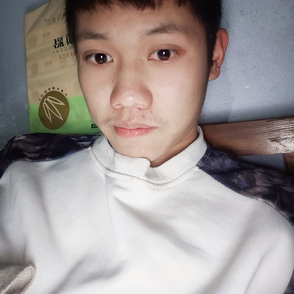 钢笔倾心阳光的照片