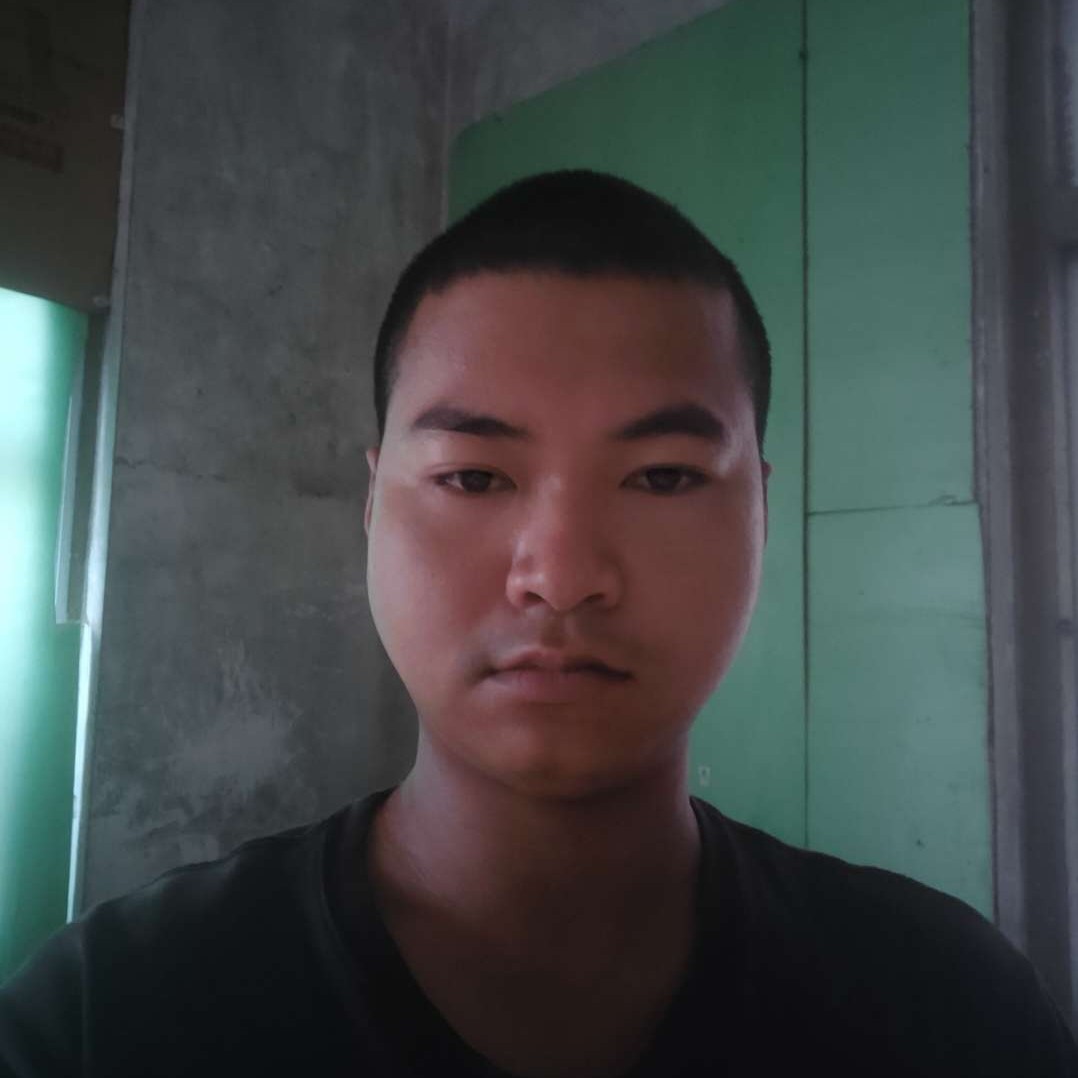 可爱的小比熊的照片