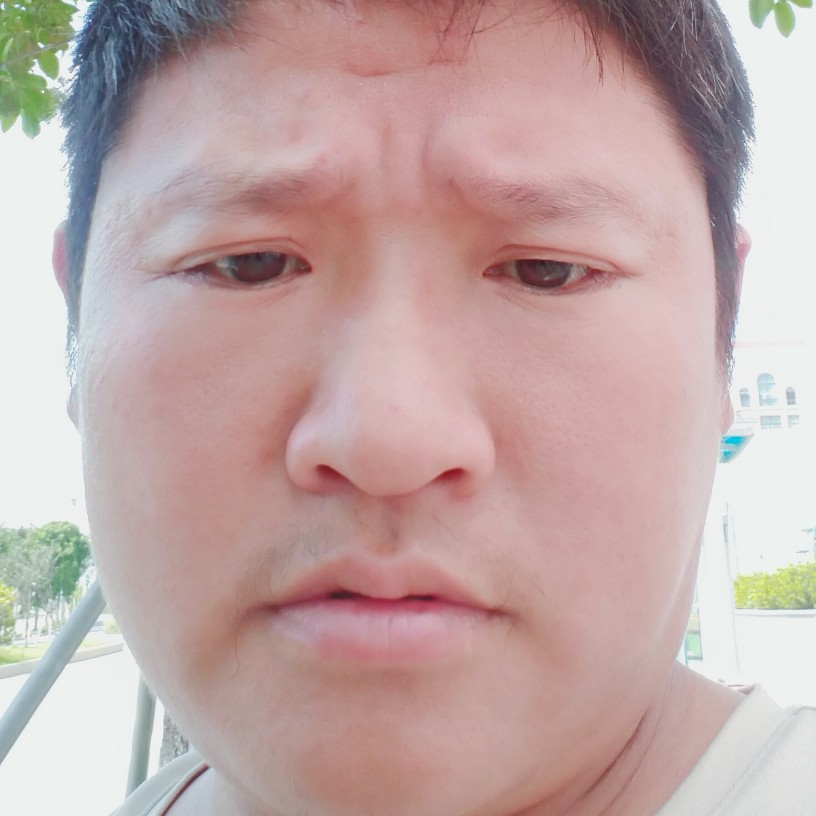 小猫咪邂逅称心的照片